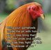 Fred Red - Facebook