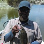 Fred Reese - @fred.reese.547 - Instagram