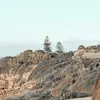 fred_reeves - @fred_reeves - TikTok