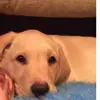 fred.reeves - @fred.reeves - TikTok