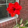 Fredrick Reeves - @fredrick.reeves - TikTok