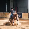 Fred_coach_reiner - @fred_coach_reiner - TikTok