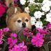 Fred Reiss - Facebook