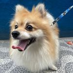 Frederico Reis Silva - @fred.reissilva - Instagram