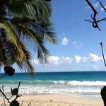 Fred Renaud - @fred.renaud.39 - Instagram
