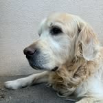 Fred_renaudineau - @fred_renaudineau - Instagram
