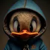 nickrenaud16 - @renaudfred - TikTok