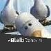 Fred Rene - Facebook