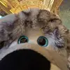 Fredreno - @fredreno4 - TikTok