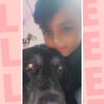 Reno fred - @renofred1 - Instagram
