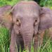 Fredrick Reich - Facebook