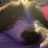 Fred_frs - @fredfraresso - TikTok