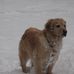 Fred Reykdal - Facebook