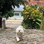 Fred Ricci Macedo - @fredriccimacedo - Instagram