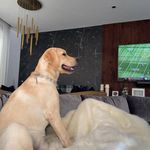 Fred David Richmond - @fredrichmond2984 - Instagram