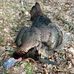 Fred Riddle - Facebook