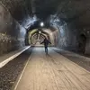 Freddie Bridge - @freddiebridge22 - TikTok