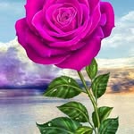 Fred Right - @eusob304 - Instagram