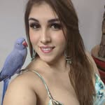 Dany Nogueira - @fred_ringneck.violeta - Instagram