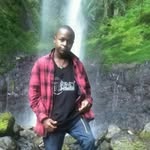 Fred .Ringo - @fred_.ringo - Instagram