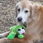 Fred Ripley - @fred.ripley.963 - Instagram