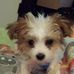 Fred Ritchie - Facebook