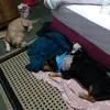 fred/bento - @fredrizzo78 - TikTok