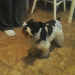 @fredrobinette3 - Instagram