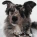 Frederic Roeder - Facebook