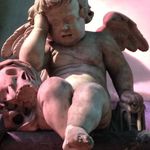 Fred Rohrmann - @fredrohrmann - Instagram