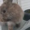 Frédéric - @fredrohr88986795 - TikTok