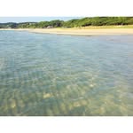 @fredek__rolfes__26446 - Instagram
