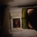 Fred Romaniak - @fredromaniak - Instagram