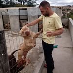 Frederico Romanizio - @fredromanizio - Instagram