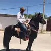 Fred Romo967 - @fredromo2 - TikTok