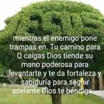 Fredy Roney Lovo Ramos - @fredyroneylovo - Instagram