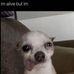 Fred Reid - Facebook