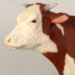 Fred The  Roof Bull - @roof_bull_fred_2020 - Instagram