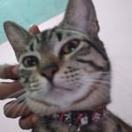 Fredrosa - @fredrosa1 - Instagram