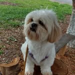 @fredrosaribeiro2022 - Instagram