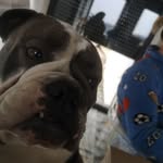 freddy Rosenbaum - @rosenbaum_freddy - Instagram
