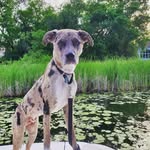 Fred Rothstein - @justfred_mpls - Instagram
