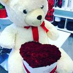 Rowan Fred - @rowanfred66 - Instagram