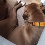 Royster Fred - @fredroyster83 - Instagram