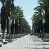 Fredy Ruelas - @fredy.ruelas - TikTok