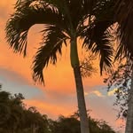 Fred Ruffino - @fredruffino - Instagram