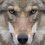 Fred Rusch - @fred.rusch.73 - Instagram