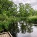 Fred Russ Forest Park - Facebook