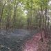 Fred Russ State Forest - Facebook