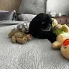 Fred Russo - @fred.russo2 - TikTok